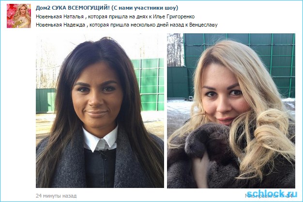 Новенькие участницы
