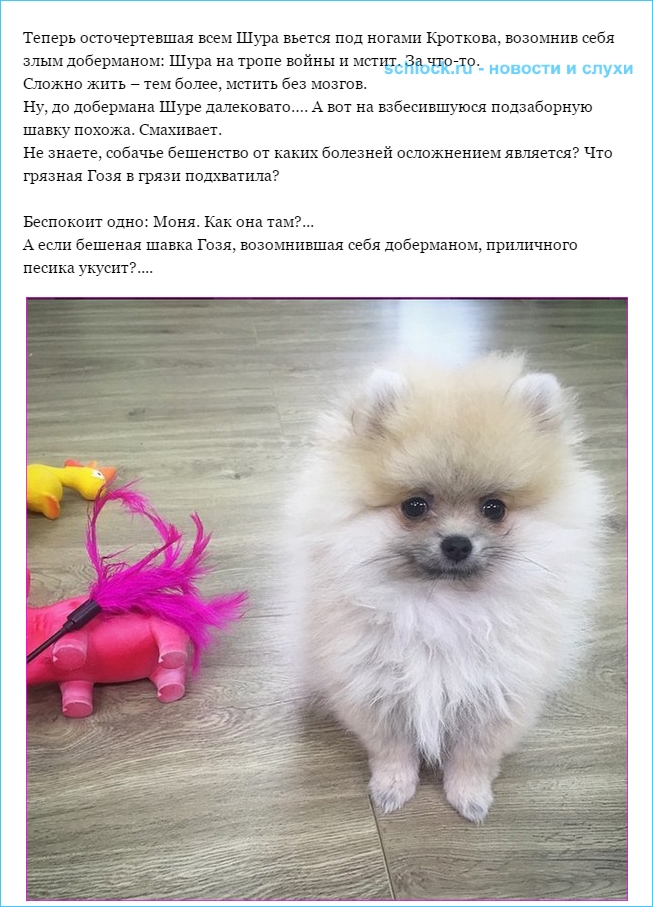 Призрак бродит по Поляне
