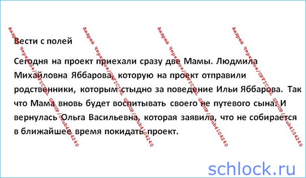 Новости от Черкасова (29 января)