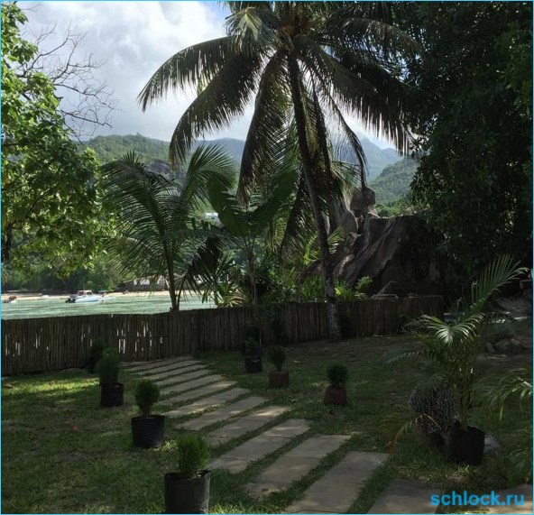 Тёща восстала против зятя? 