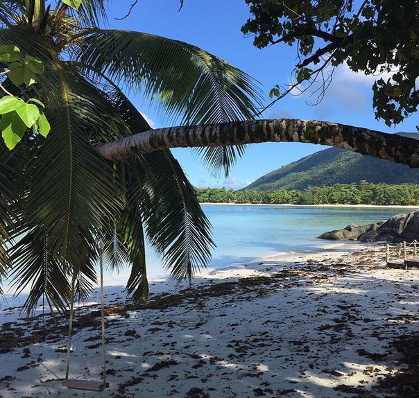 Татьяна Африкантова с отчетом о проведенной ночи Татьяна Африкантова с отчетом о проведенной ночи