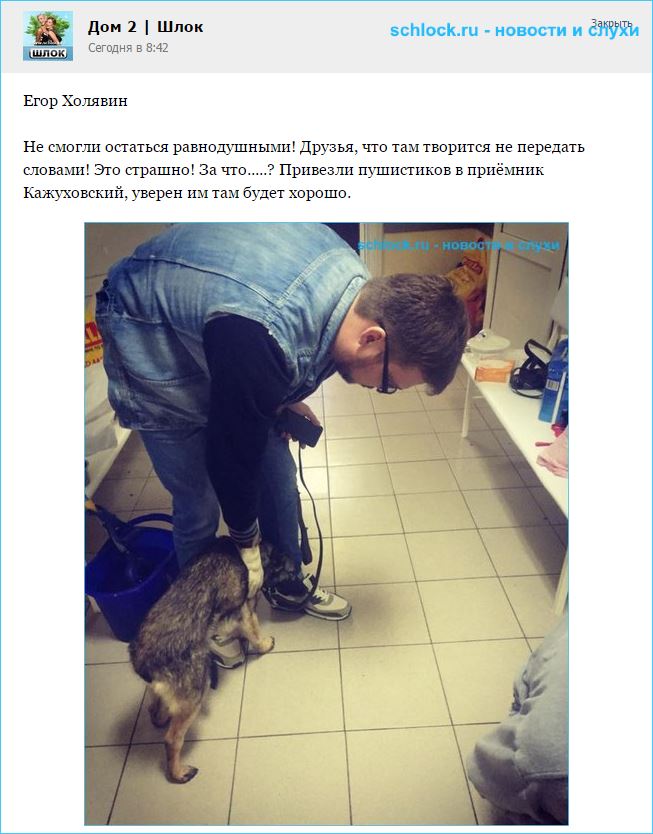 Егор Холявин помогает животным