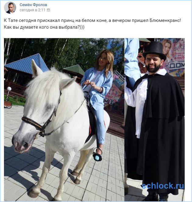 Блюменкранс или конь?