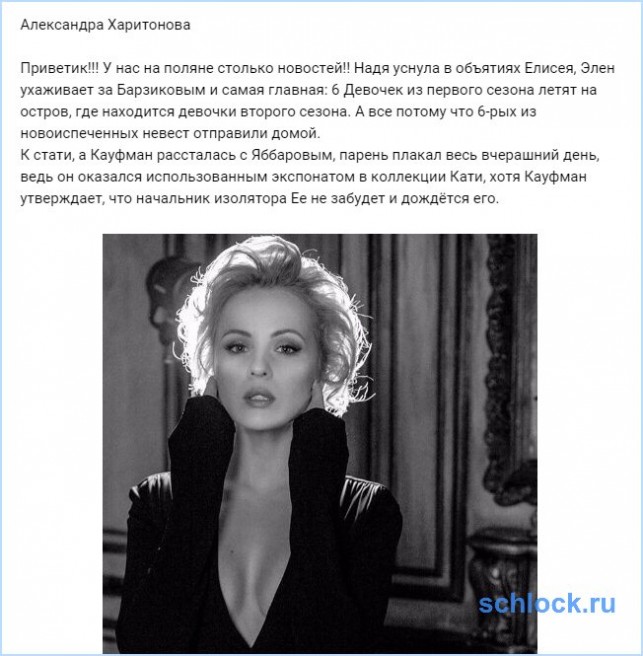 Новости от Харитоновой (4 ноября)
