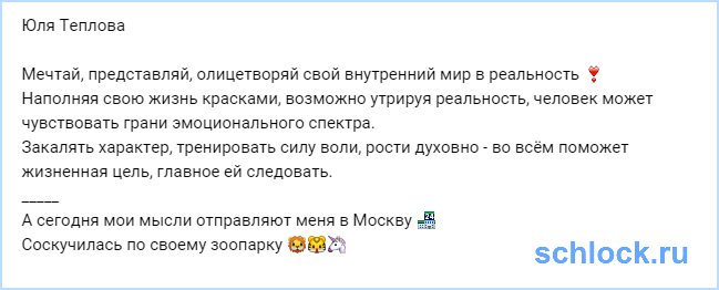 Мысли Теплову отправляют в Москву