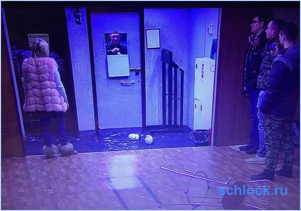 Кауфман готовит официальный план мести