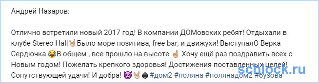 Компания домовских ребят и Сердючка