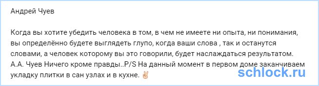 А.А. Чуев Ничего кроме правды