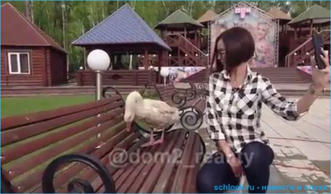 Гусь 