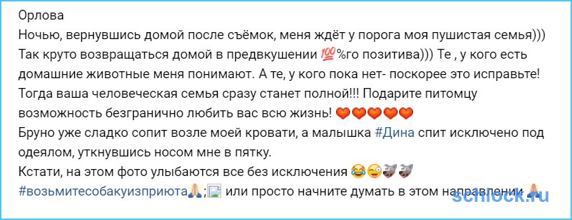 Орлова и её пушистая семья