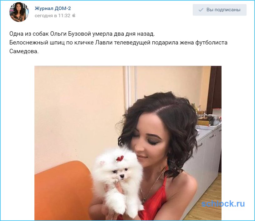 Бузова потеряла свою воспитанницу...