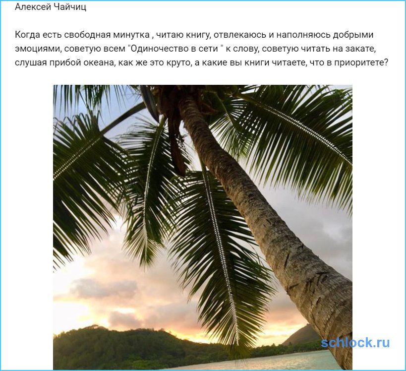 Чайчиц отвлекается и наполняется добрыми эмоциями