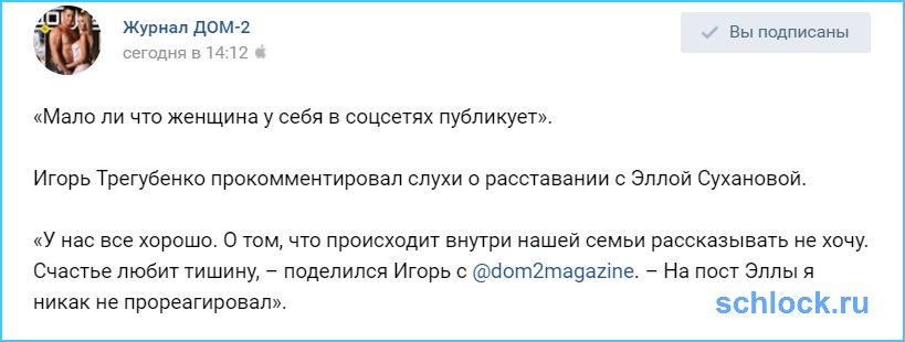 Трегубенко прокомментировал слухи о расставании с Эллой