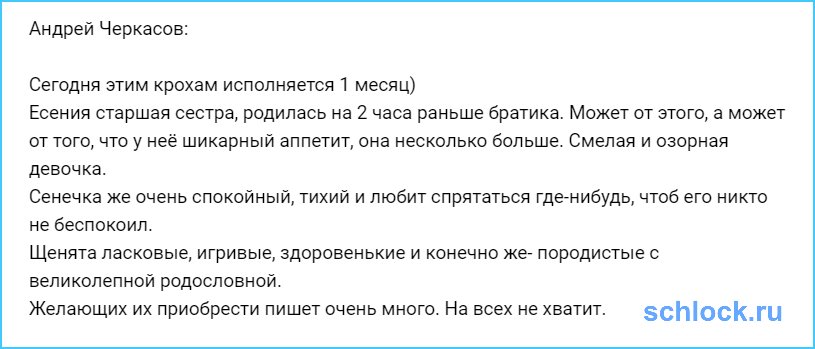 Сегодня этим крохам исполняется 1 месяц)