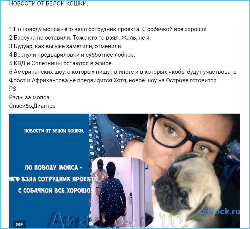 Новости по поводу мопса, Барсука, будуара и не только