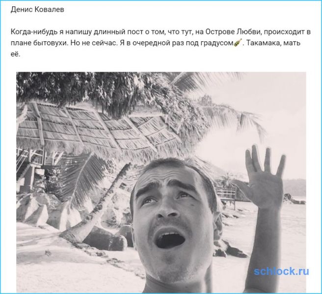 в очередной раз под. так дельфины в очередной раз доказали. это очередной раз доказывает. в очередной раз дельфины доказали. это еще раз доказывает что дельфины.