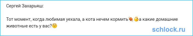 Тот момент, когда любимая уехала, а кота нечем кормить?