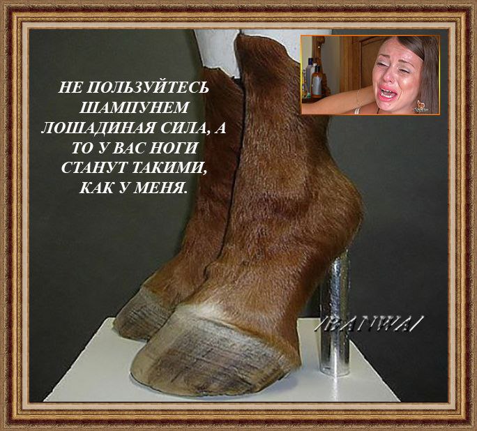 Картинки, лошадиная сила картинки приколы