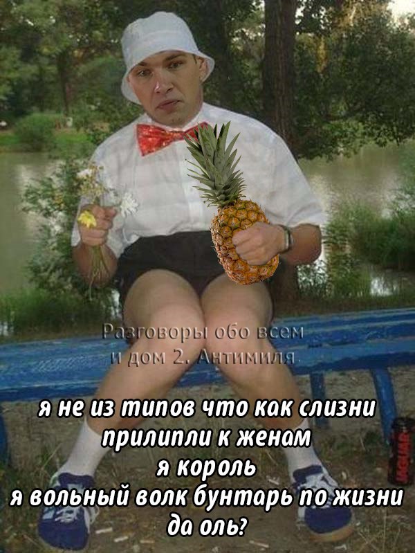 я вольный волк да мам. я вольный волк бунтарь по жизни да мам. я не из типов что как слизни прилипли. не для вас мама орла растила прикол. я вольный волк бунтарь по жизни да мам.