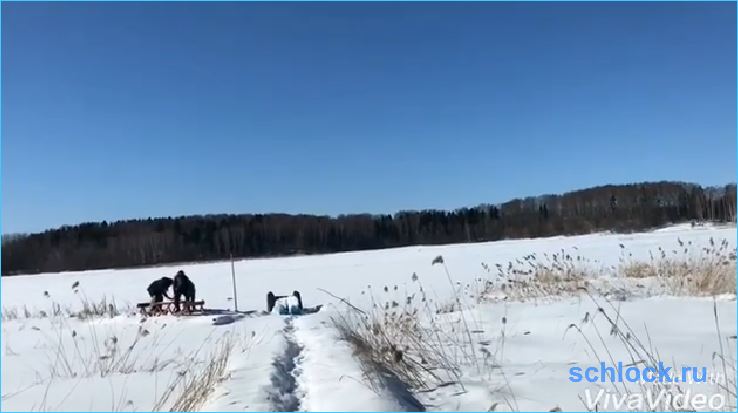 Либерж Кпадону глубоко-глубоко в лесу