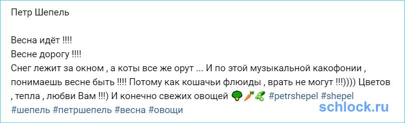 Шепель о музыкальной какофонии!