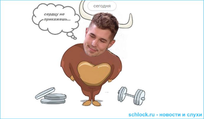 Сказка. Бычок и телочки