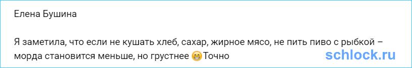 Бушина. Морда становится меньше, но грустнее...