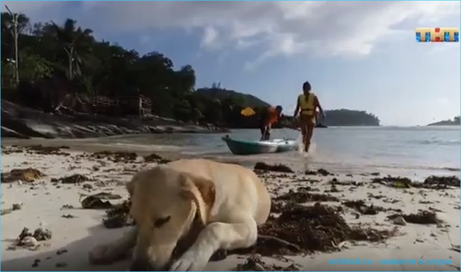 Ендальцева увела парня у Марианы Петря