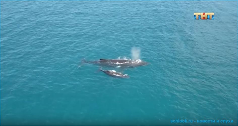 Обзор Острова любви дом 2 07.08.2018