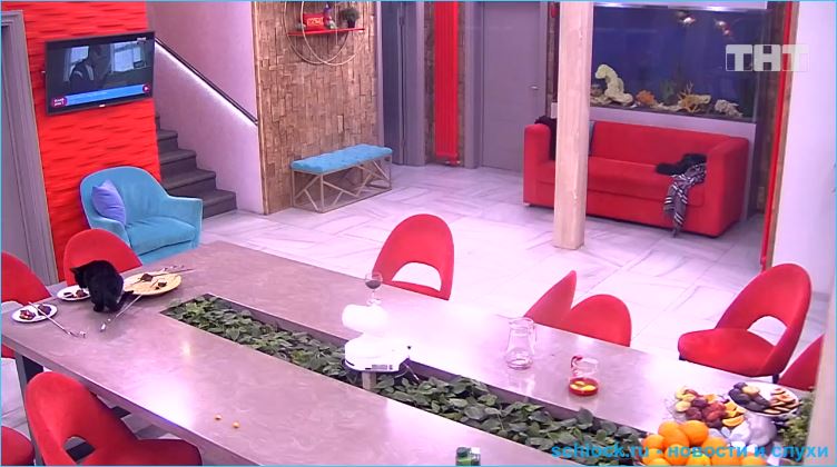 Обзор ночного эфира дом 2 02.03.2019