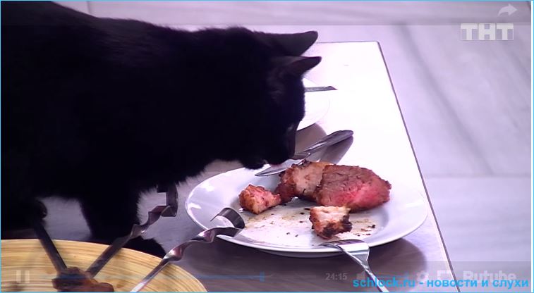 Обзор ночного эфира дом 2 02.03.2019