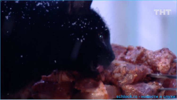 Обзор ночного эфира дом 2 02.03.2019