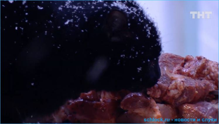 Обзор ночного эфира дом 2 02.03.2019