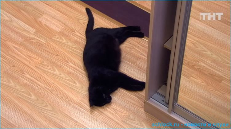 Обзор дневного эфира дом 2 30.03.2019