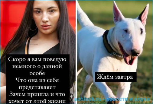 Миходуй решила разоблачить Анастасию Балтер