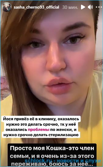 https://schlock.ru/wp-content/uploads/2021/02/xsshot-34546-1.jpg.pagespeed.ic.ZNyzihu_4w.webp