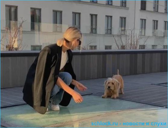 Кобелева и Стрелков интересуются, почему заканчиваются отношения