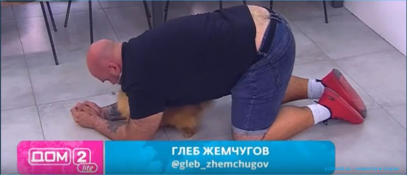 https://schlock.ru/wp-content/uploads/2021/04/xsshot-38427.jpg.pagespeed.ic.1P-8Rz22sJ.webp