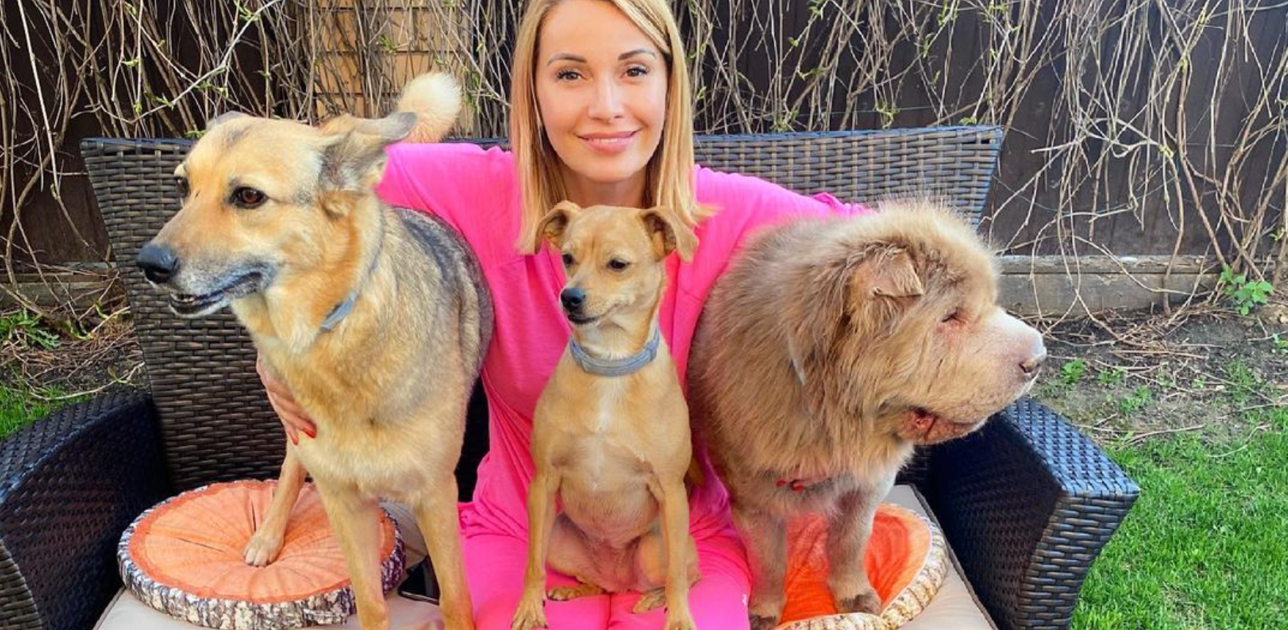 Пёс Сейшик наконец-то улетел с Острова любви благодаря Ольге Орловой