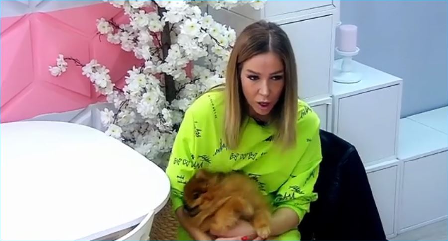 Жемчугов заселился один из-за интриг Ермаковой и мамы Насти Роинашвили