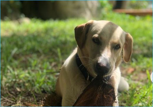 Андрей Черкасов рад возвращению Сейшика с Острова любви