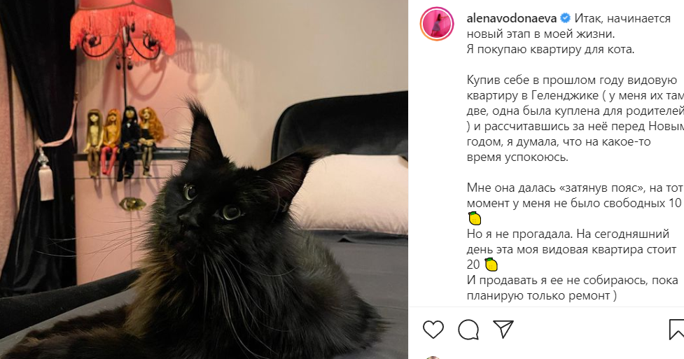 Алёна Водонаева возьмет квартиру в ипотеку для своего кота