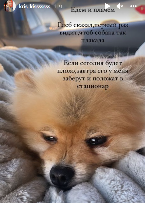 Последние новости дом 2 на сегодня 02 ноября 2021