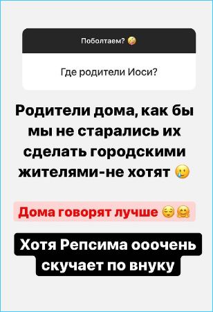 Оганесянам не удалось сделать родителей городскими жителями, жалуется Саша Черно