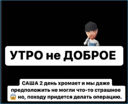 Благодаря Иосифу Оганесяну стало известно, что пострадала кошка Саша на Доме 2