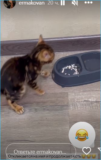 Надежда Ермакова все-таки рискнула исправить нижнюю часть лица