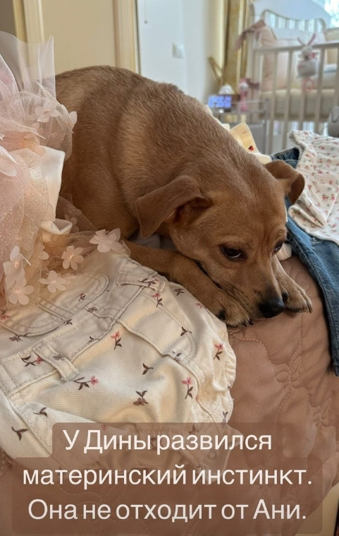 Последние новости дом 2 на сегодня 20 февраля 2023