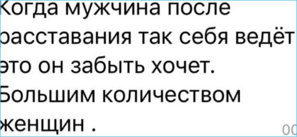 Последние новости дом 2 на сегодня 23 февраля 2023