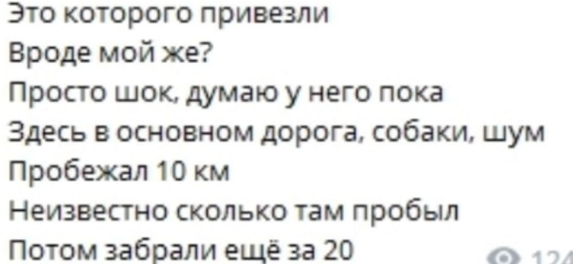 Саша Черно нашла кота Йосю, но перестала его узнавать
