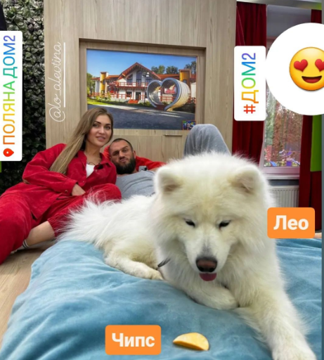 Зрители Дома 2 подозревают, что Адеев помог Фаломину привести на Дом 2 очередную подругу
